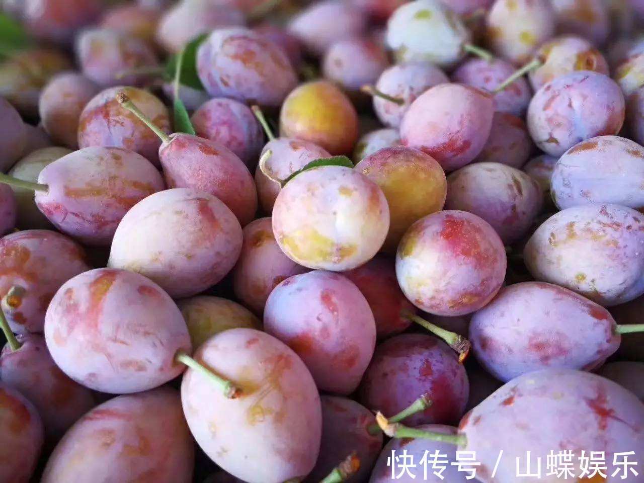 维生素b1|女性不想子宫“脏脏的”,多吃三种食物,排出毒素,滋养女性子宫