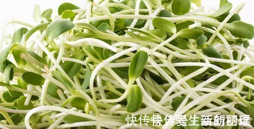 长寿|人到中年想长寿,不妨坚持吃3种食物,健脾养胃,增强免疫力