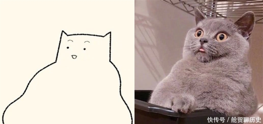 试卷&本以为是0分试卷,看到原来作品后,网友:美术老师赶紧道歉!