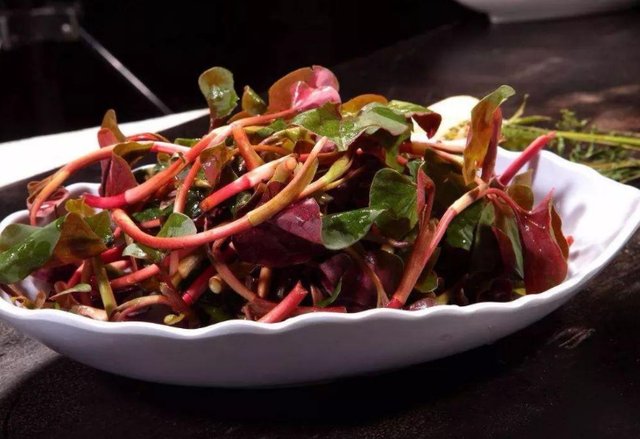 吸烟者没办法戒烟，常喝2水吃2草，排除烟毒，肺更健康