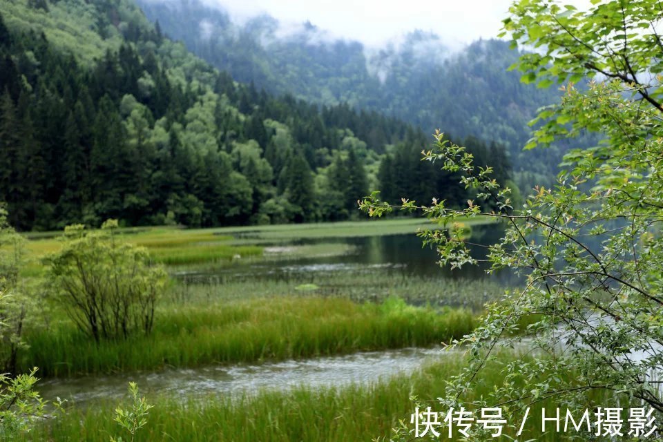 海子|神奇的人间天堂 九寨沟