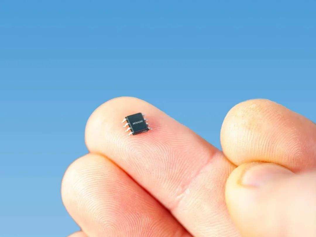 生长|少吃一块肉, 多活好几年, 这个黑科技告诉你如何逆生长