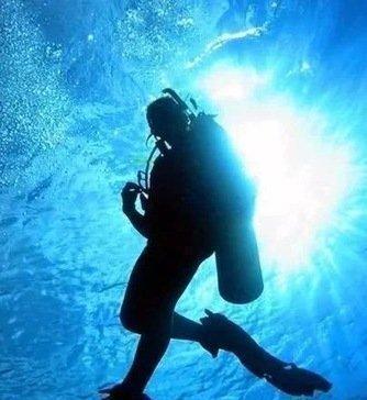 鲸鱼可以下潜数千米,为何钢铁打造的潜艇反而容易被海水压扁?