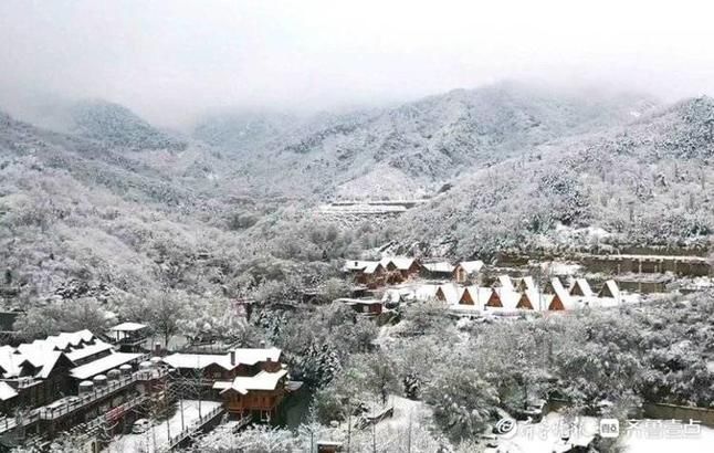 温柔飞雪再迎春，济南南山湿漉漉雪蒙蒙