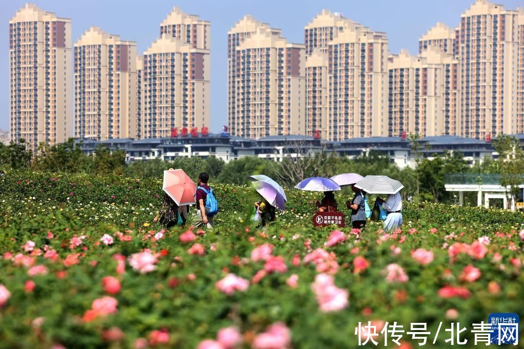 乐享假期|走到户外 乐享假期