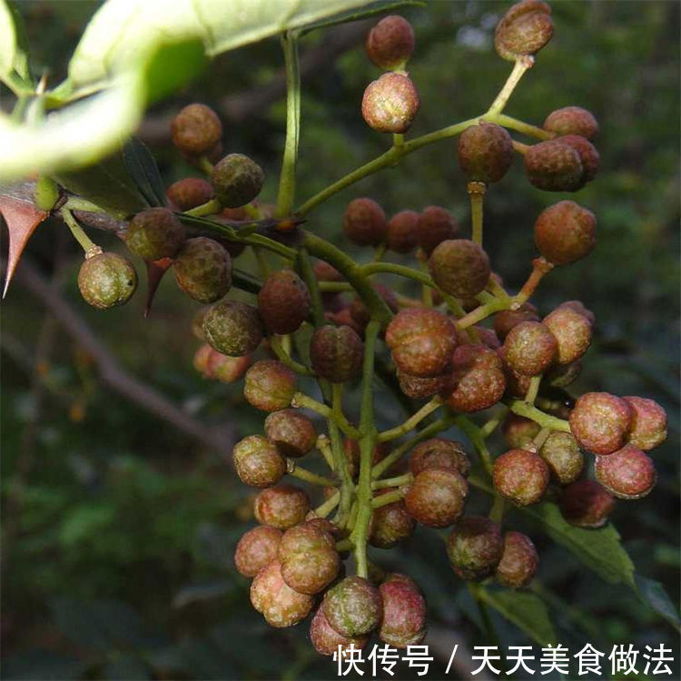 冬天多吃三食物,祛风除湿,降压排毒,滋补身体,好吃又营养