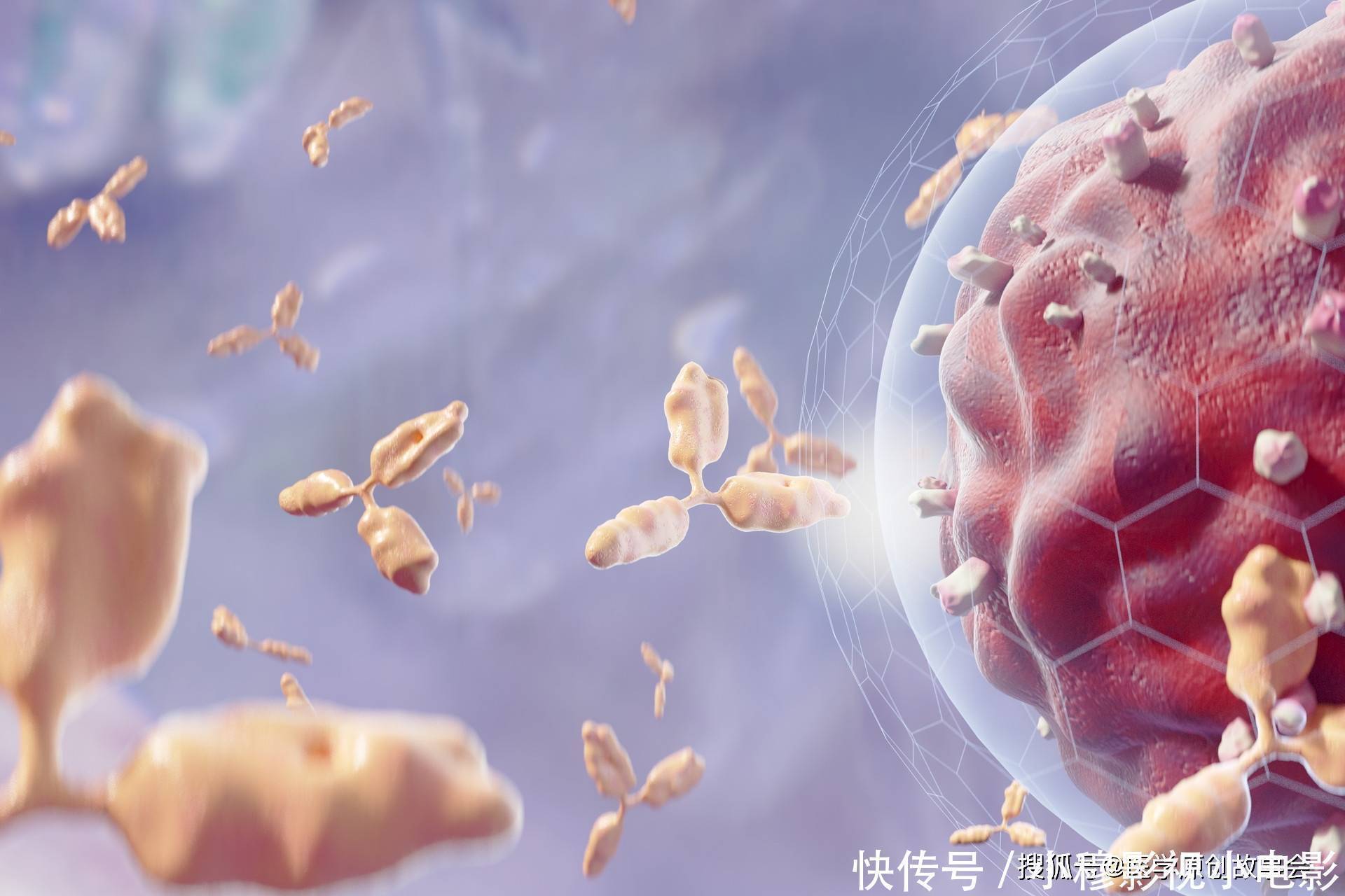 肩胛骨|别把肺癌当成颈椎病，肩背若有一个表现，可能是肺部在“求救”