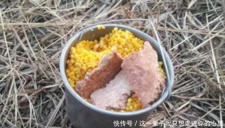 冬天冷，诱鱼慢到怀疑人生？试试这2种特效窝料，刚下钩就有口