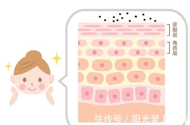 护肤品 我!当代敏感肌女大学生,该如何选购护肤品!