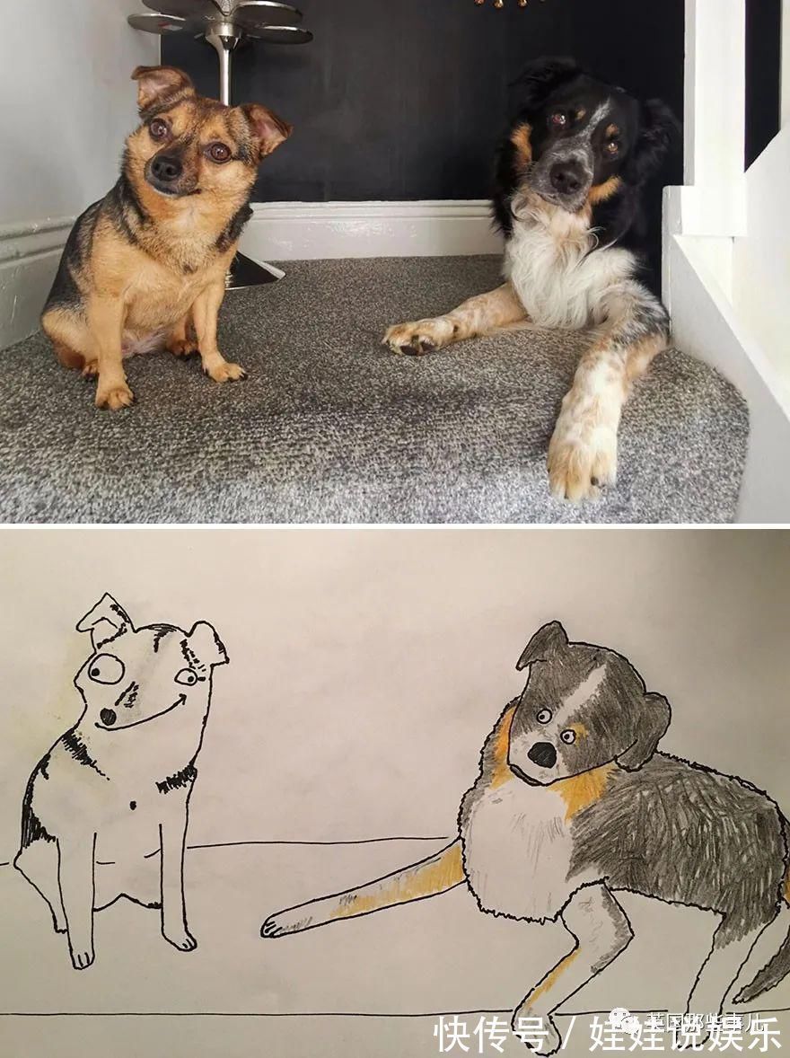 pet#随手涂鸦,自己觉得是“垃圾”的画作,没想到却在网上卖疯了