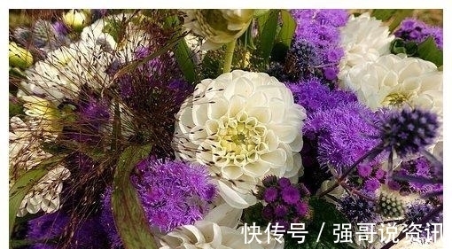 生肖鸡|2天后，旧爱离去，月老牵线，依然等待，彼此温暖，无话可说