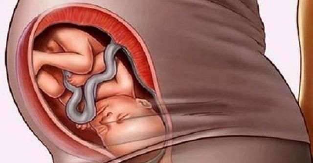 一个月|怀胎十月的最后一个月,肚子里宝宝在干吗其实他在“打包行李”