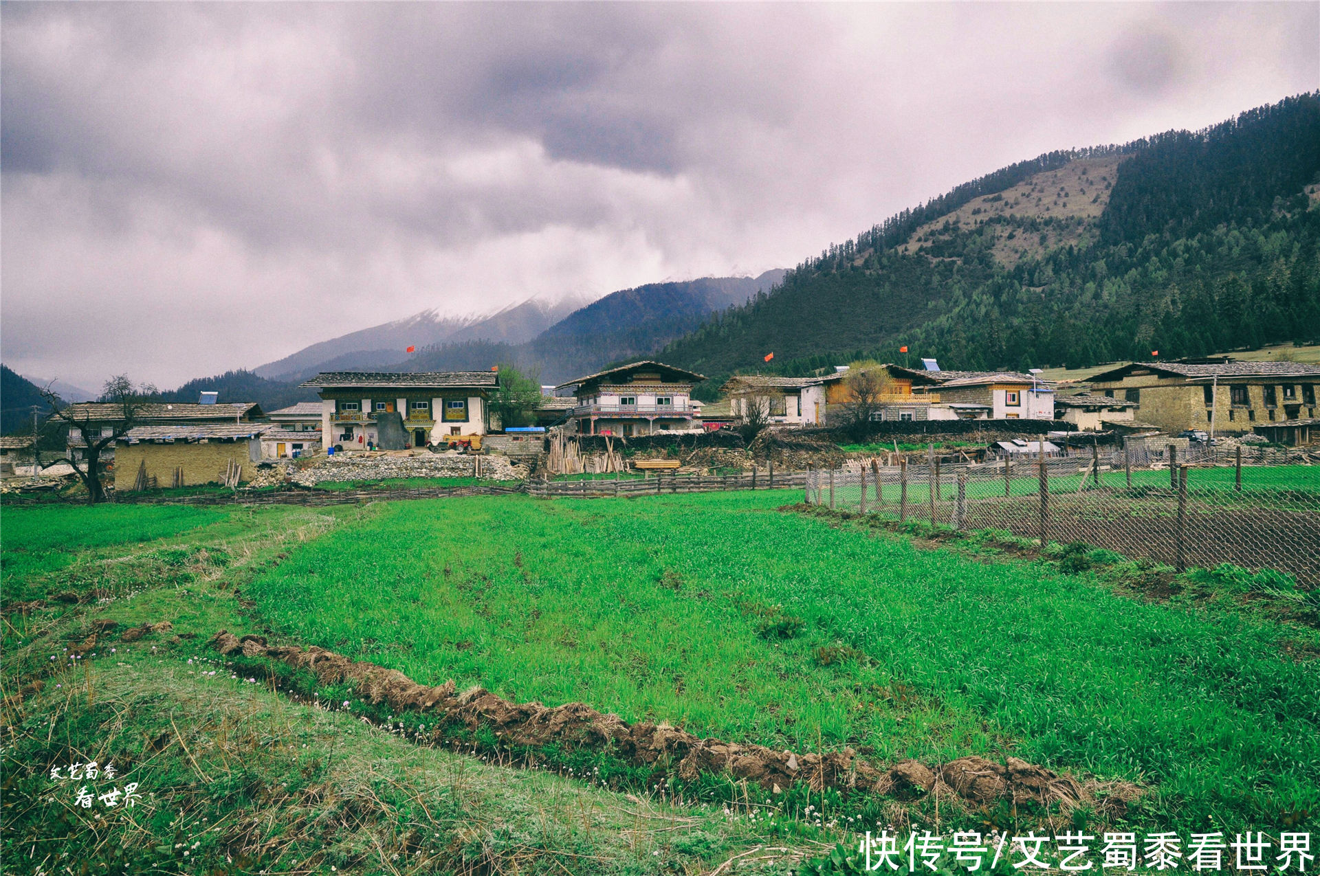 在川藏线上有一个仙境一样的村庄，鲁朗扎西岗村，去过的人并不多