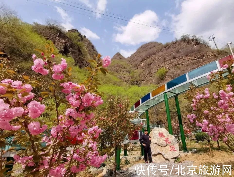 十渡|春已至，花绽放！这份房山赏花攻略请查收！