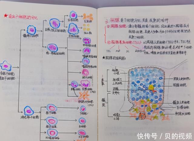 时间|学霸和学渣有什么差别？看完课堂笔记对比图，差距一目了然