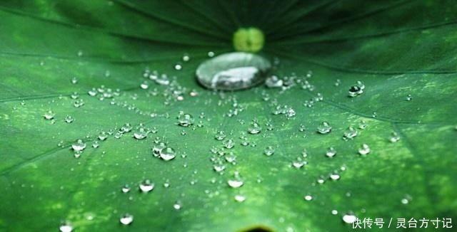 江阔云低|读了这首词,再也不敢一个人听雨