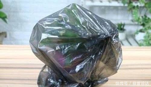 壮叶|扔掉的塑料袋,可以用来养花,新叶“噌噌”长,根壮叶肥绿