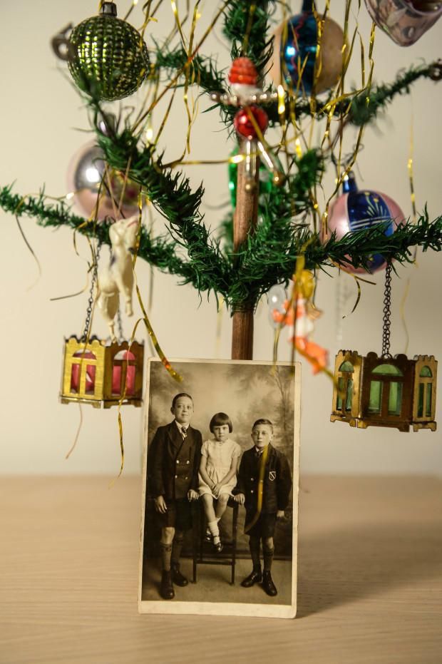  英国|英国最古老圣诞树喜迎百岁，和3代人过100次圣诞节