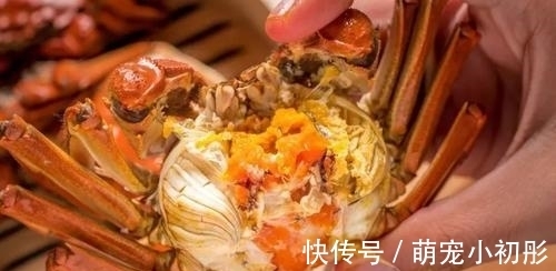 冰箱|吃不完的螃蟹,不要直接放冰箱,大厨教你一招,放7天也不会坏