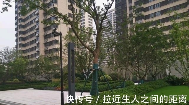 房子|买房避开这16个很常见的坑