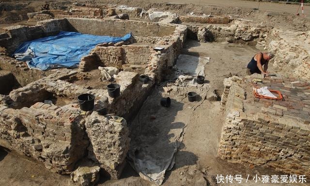 考古学家|狗是天生的“考古学家”?考古犬能嗅出2700年前古墓的位置