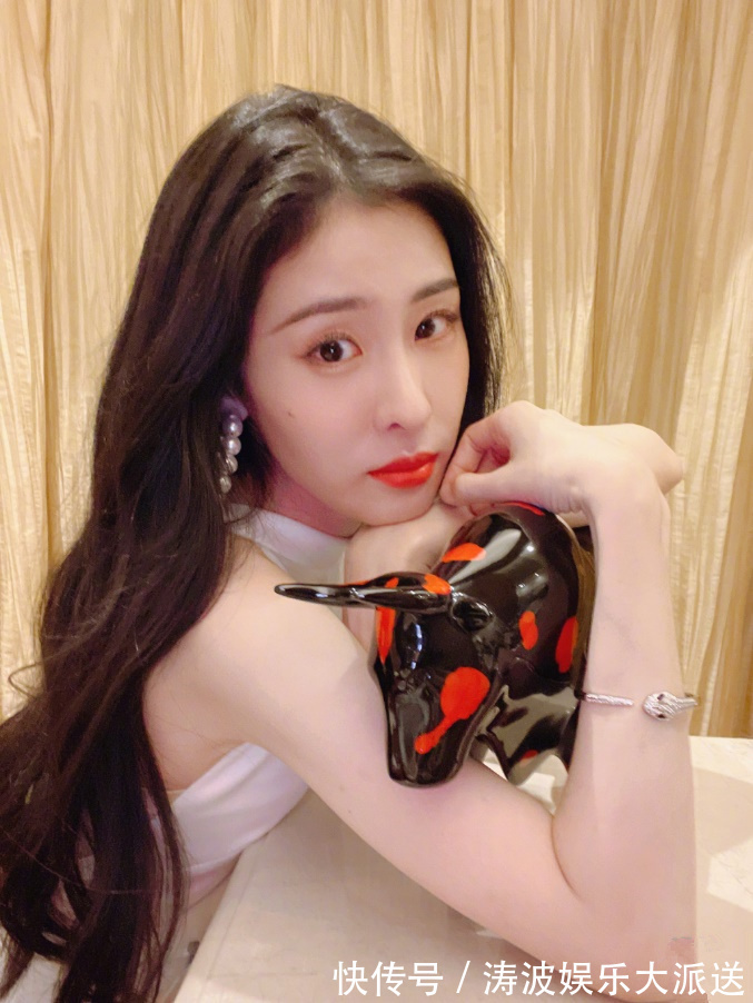 张碧晨|张碧晨为了生女损失2487万收入,但家中全是华晨宇最爱的动漫手办