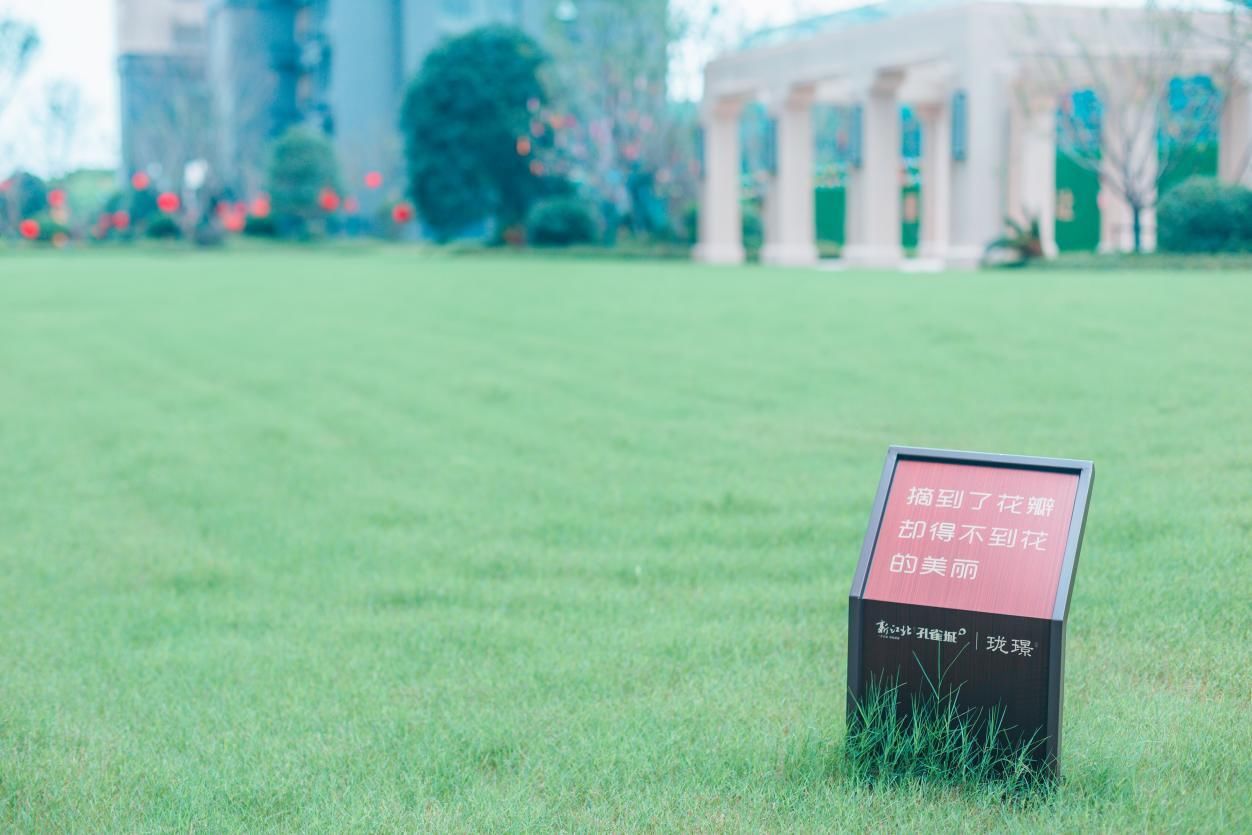雀悦社区 攒满简单的浪漫|以初心 鉴真心 幸会新江北 | 雀悦社区