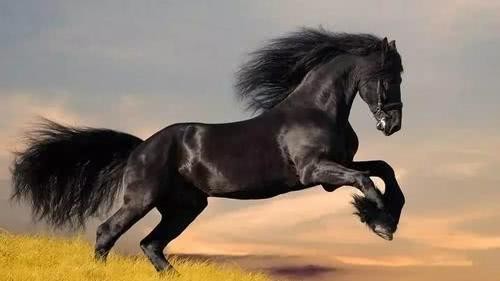 成本|古代王朝统治者以开疆扩土为傲,但为何不选择无限制远征