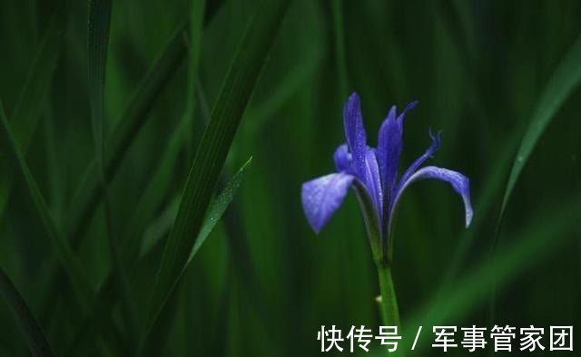 逆转|6天后，桃花逆转，遇见前任，偶遇前任，真爱回响，动心动情