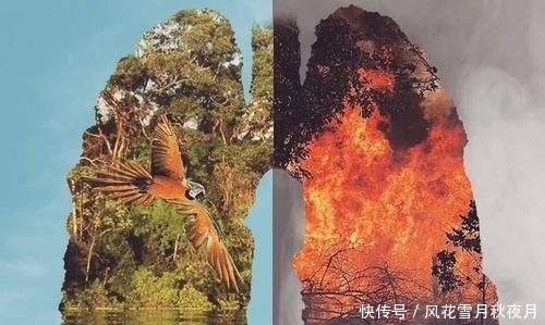 霍金生前都做出了哪些预言？现在看应验了吗？