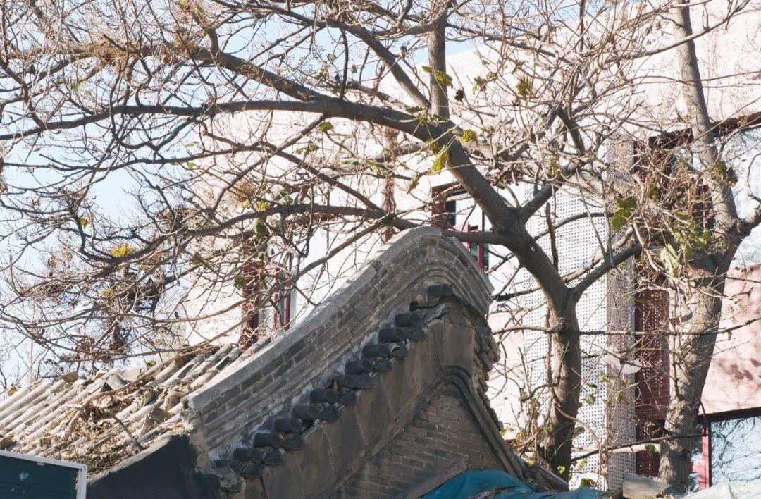  镜头|重拍北京旧日遗存，透过现实的镜头了解逝去的历史——新街口周边