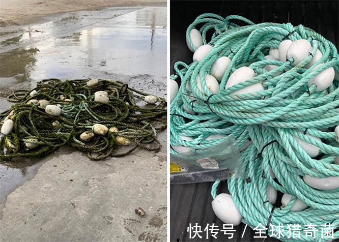 清洗干净|32张高压水枪清洁的瞬间，强迫症表示超酸爽