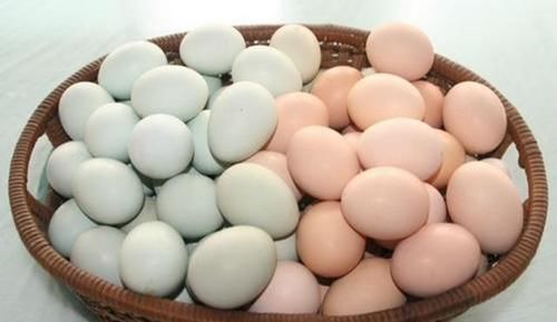 营养师|买鸡蛋时,买红壳好还是白壳好当营养师讲完后,许多人都后悔了