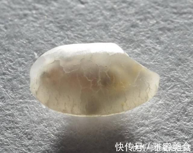 成虫|米放久了会有虫子,那这些虫子都是哪里来的呢?