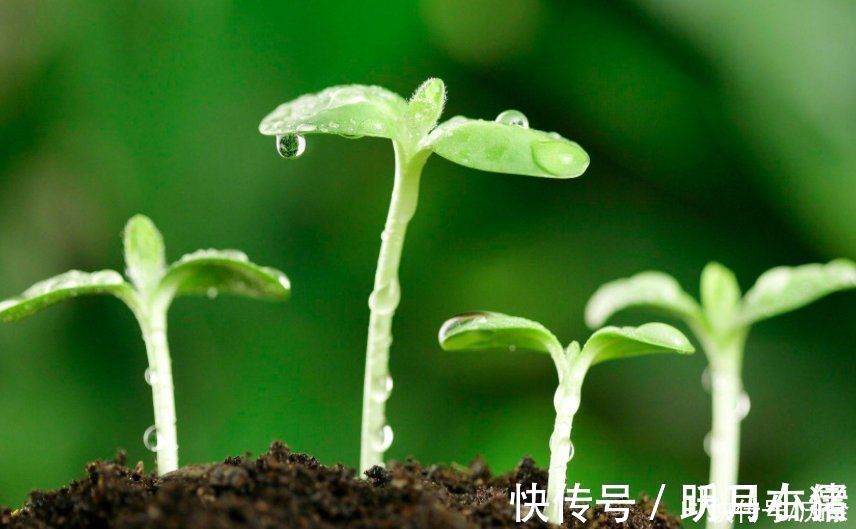 春夜喜雨$杜甫很经典的一首咏雨诗,开篇就是名句,历来为人称道