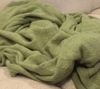 |搞笑GIF： 姐姐 你能矜持点吗