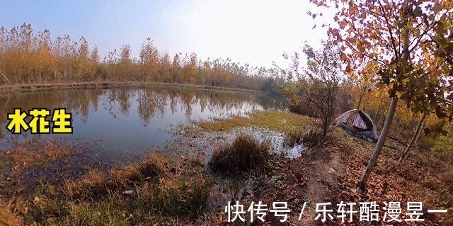 什么水草才是冬季钓鲫鱼的好位置老钓友经验,这3种水草很藏鱼