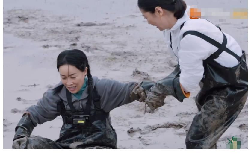 節(jié)目|一個(gè)鏡頭都舍不得錯(cuò)過(guò)，這一期《向往5》，才是原汁原味的熟悉感