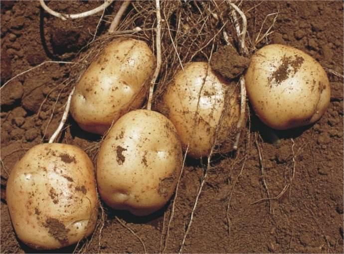 人类如何从太空获取水资源?氢氧化合难度太高