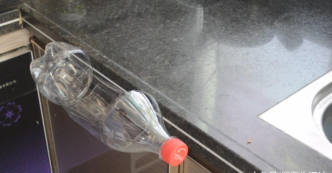 实用|大号塑料瓶别扔了, 剪一刀, 放在厨房里太实用了, 看到的人都夸好