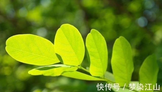 为爱痴狂|有缘再见，为爱痴狂，爱到刻骨，只盼旧情复苏，余生再无牵挂