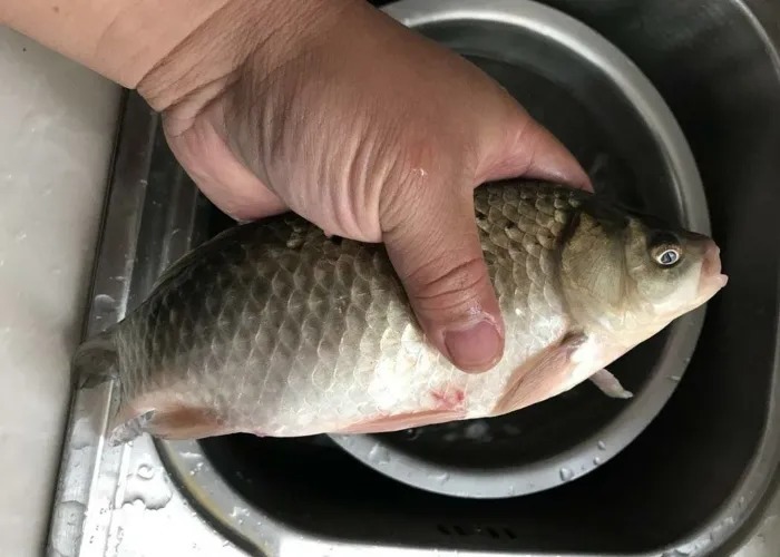 冷天爱钓鲫鱼的要留意了,我也是今天才知这“十字诀”,莫疏忽