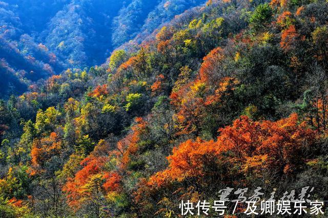 秋色|养在深闺人未识的秦岭秘境留坝，却深藏着让人叹为观止的绝美秋色