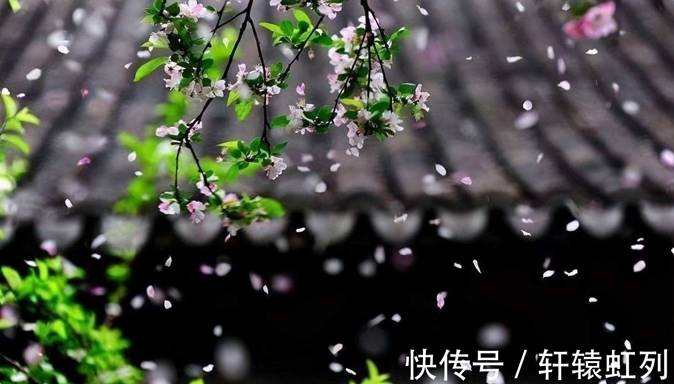 梅花#飞雪寄乡愁词两首,雪落倾城,念在心中,莫惧深冬寒,春天不遥远