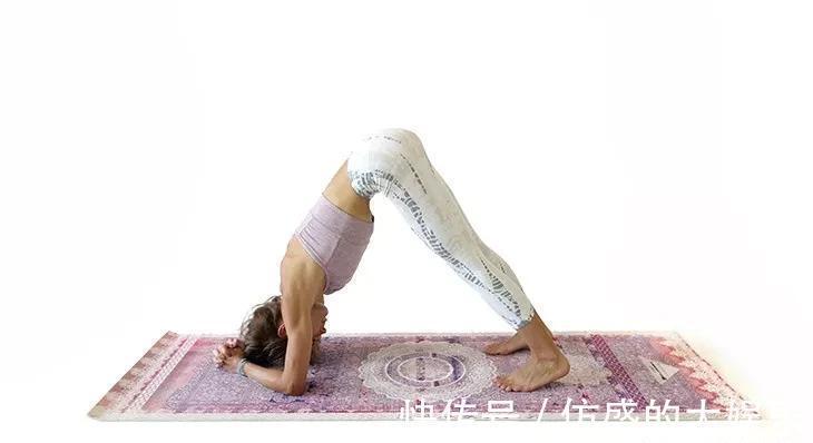 轮式|解锁瑜伽轮式并不难,先将这套序列练上半个月