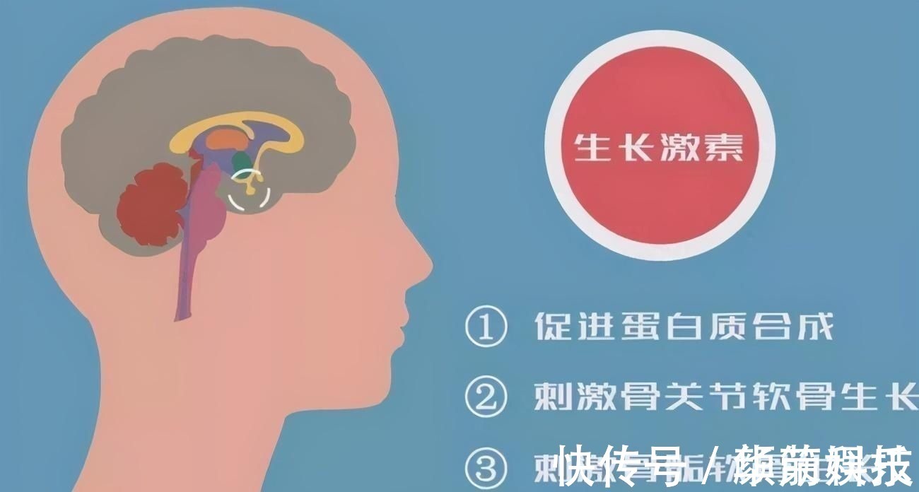 睡眠|宝宝在这2个“黄金时间”睡觉,不但大脑发育好,还容易个子高