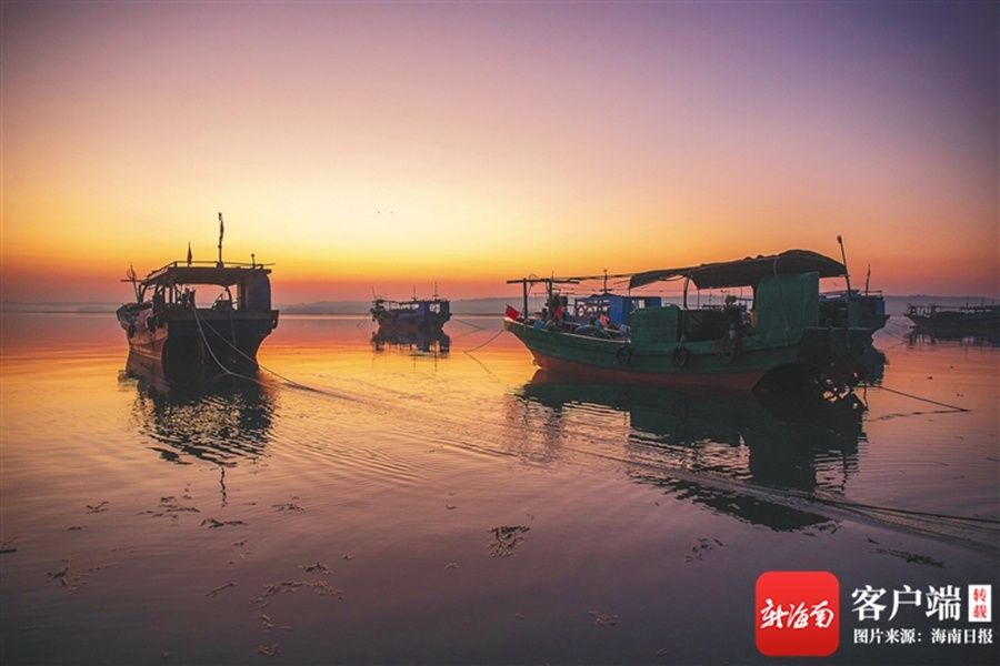 林琼玲|儋州女大学生返乡打造乡村旅游基地：归巢筑梦在渔家