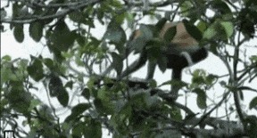 |搞笑GIF:物以类聚人以群分 这样的寝室欢乐才多