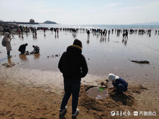 格陵兰岛|热闹！青岛栈桥海滨，游客人流如潮