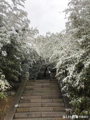 崂山|崂山：飞雪迎春，千树万树梨花开